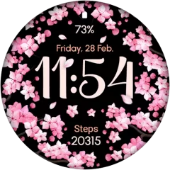 AR02 watch face