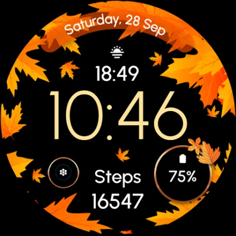 ReS51 watch face