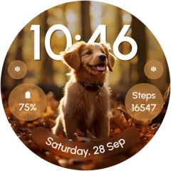 ReS52 watch face