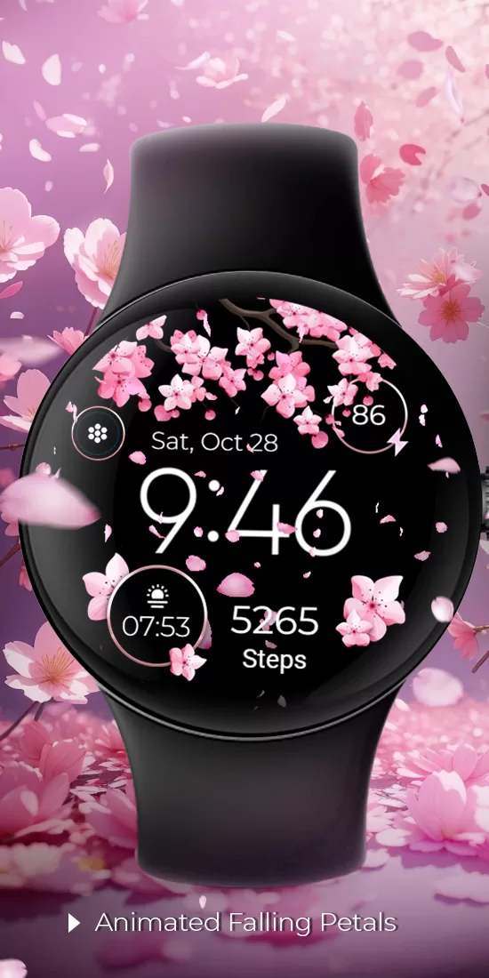Seasonal Watch preview 1